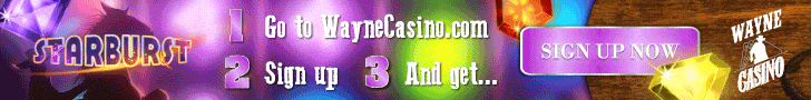 Wayne Casino Review
