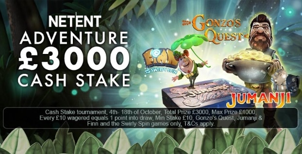 Coin Falls Casino Promotion