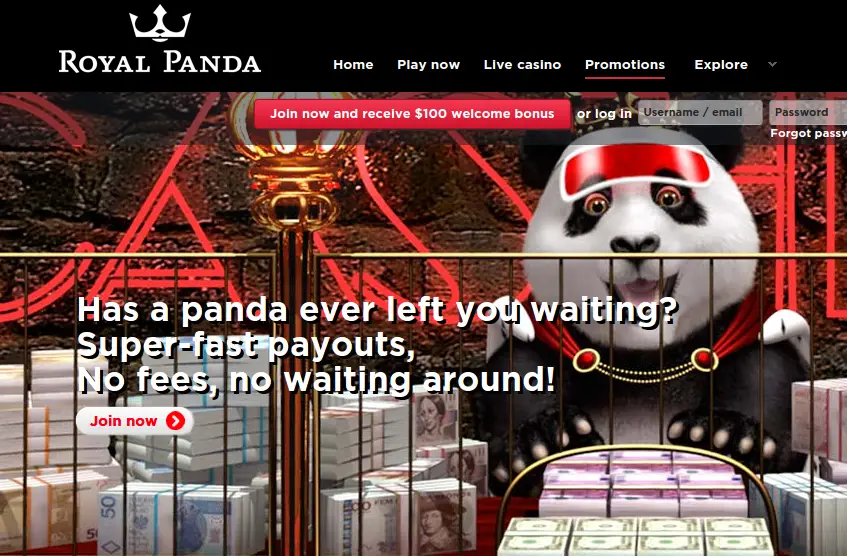 Royal Panda Exclusive Free Spins