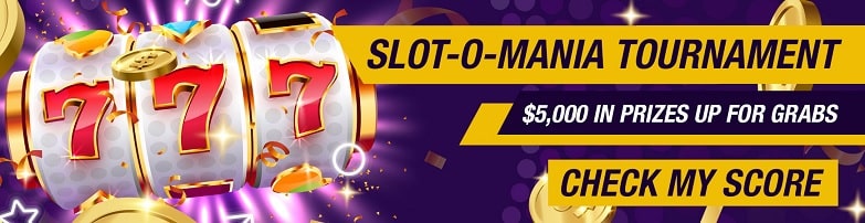 Spin Oasis Casino Promotion